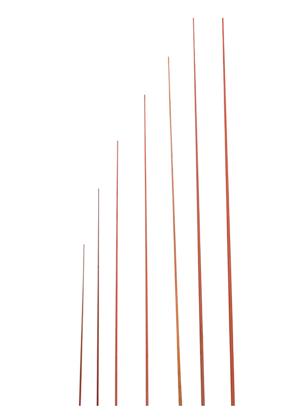 Text