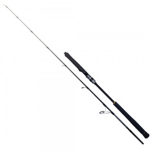 RYUJI SEAWOLF 1.98M 30-150GR 2P JIG KAMIŞ