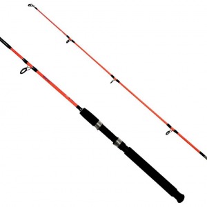 Kendo Holiday Boat 1.65m 100-250gr 2 Parça Olta Kamışı