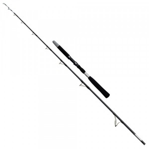 STAR JIGGING KAMIŞ 200 CM